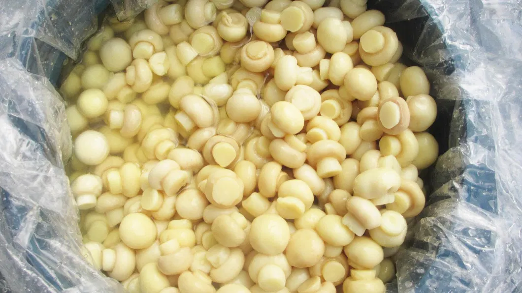 Canned Whole Mushroom to Bangladesh