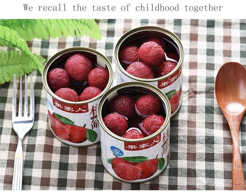 567g Canned Waxberry/Bayberry/Arbutus in Syrup