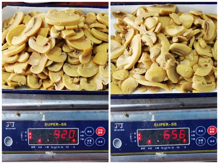 Canned Champignon Mushroom, Button Mushroom Whole in Drum Supplier