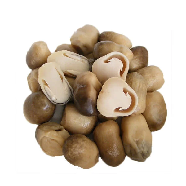 Canned Food Canned Straw Mushroom Whole in Brine