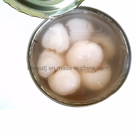 ライチの缶詰 フレッシュまたはライチの缶詰 丸ごとライトシロップまたはヘビーシロップ漬け